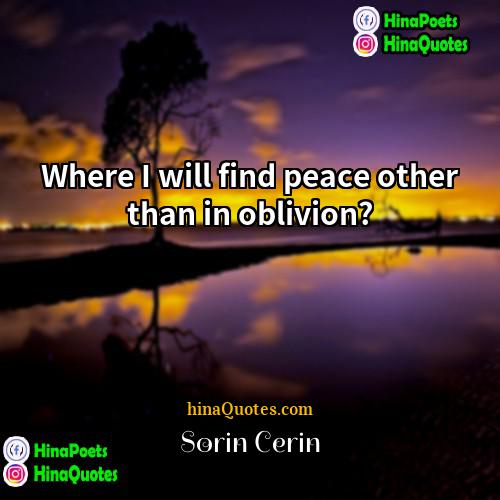 Sorin Cerin Quotes | Where I will find peace other than